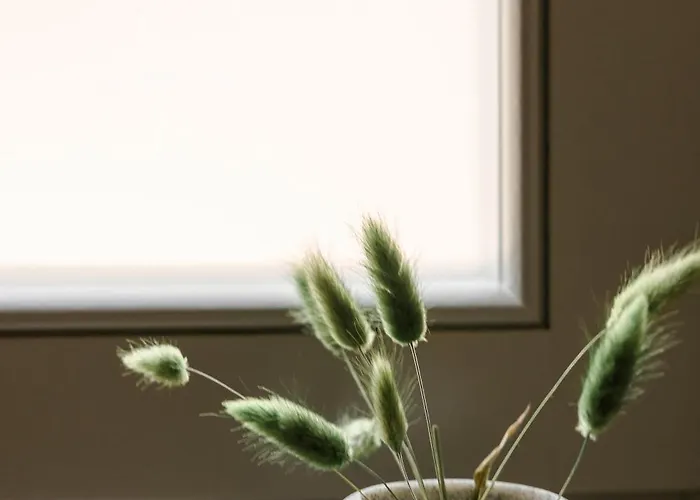 Chromata Assos Kefalonia